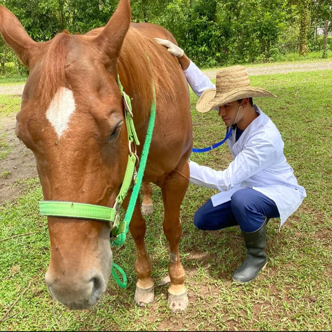 Veterinaria y Agro